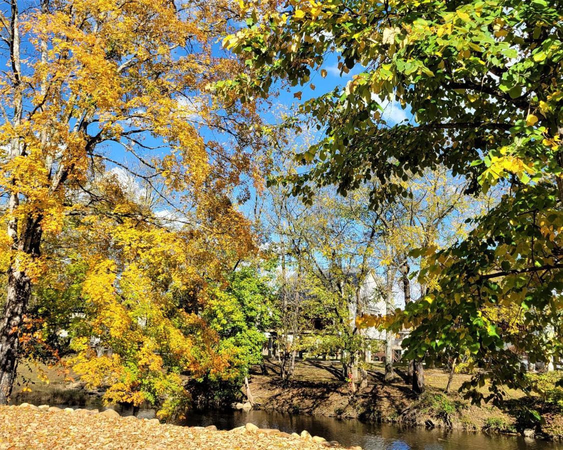 Skinny Dippin'-River Front- Free Tickets-Dog Friendly-Sleeps 6 Pigeon Forge Dış mekan fotoğraf
